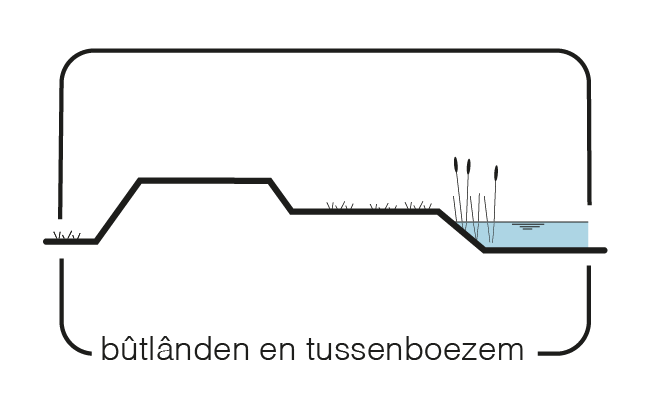 Maatregel 13 Bûtlânnen en tussenboezem